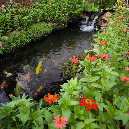 Dok Champa Resort วังเวียง ภายนอก รูปภาพ
