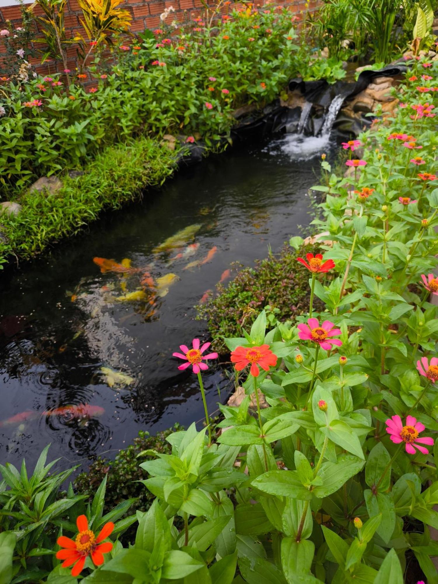 Dok Champa Resort วังเวียง ภายนอก รูปภาพ